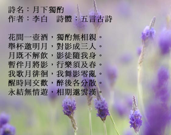 月下獨酌